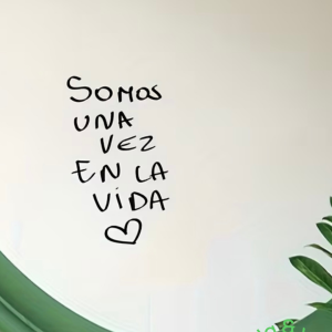 Sticker somos una vez en la vida